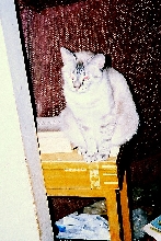 franci