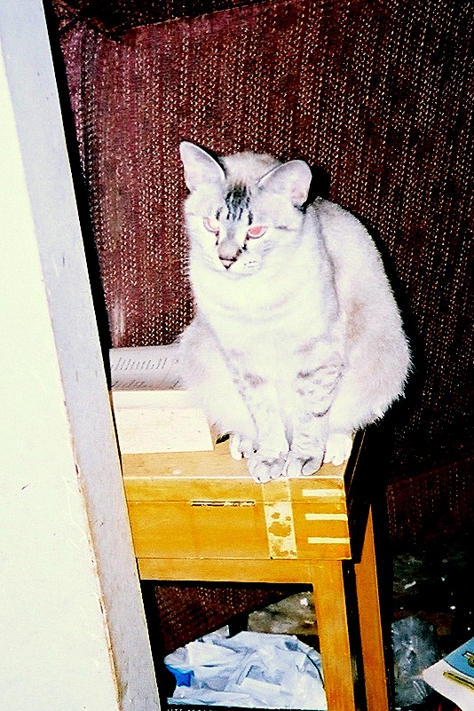 franci