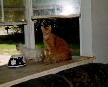 Caleb and Willow