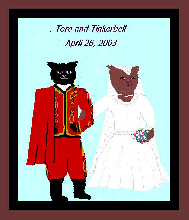 Tink an Toro's weddink portwait