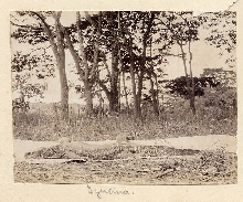 1905 Photo