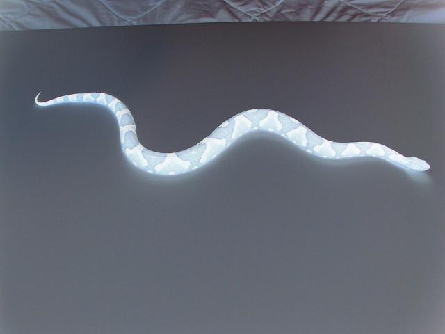 Copperhead GLO