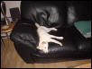 Max'n and Relax'n