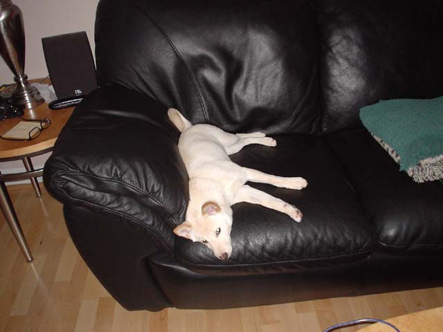 Max'n and Relax'n