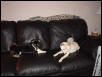 Hang'n out
