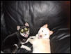 The Freaks [Maui & Kaia]