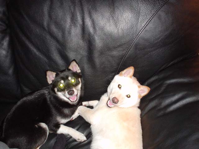 The Freaks [Maui & Kaia]