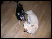 Play time - 1