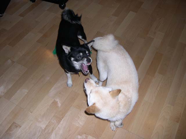 Play time - 1