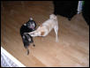 Play time - 2