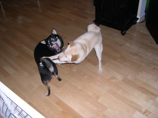 Play time - 2