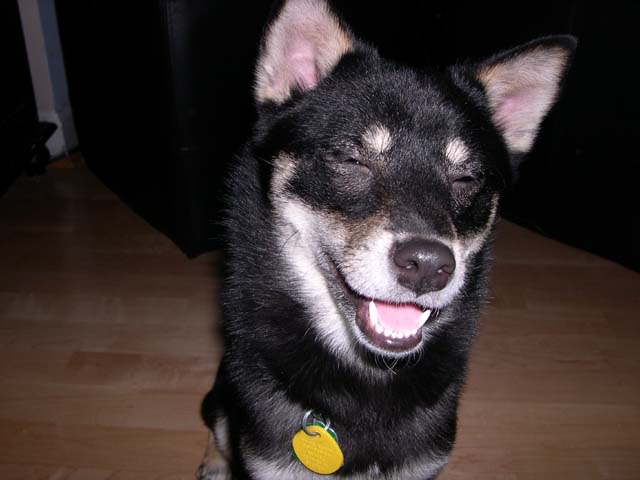 Kaia