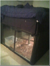 Orkin's home