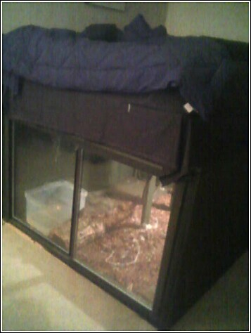 Orkin's home