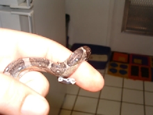 Type 2 Anery Male