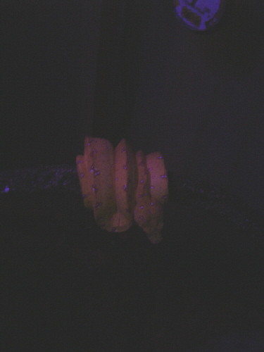 Petie#2