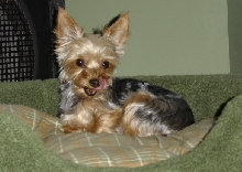 Jack