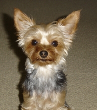 Jack#2