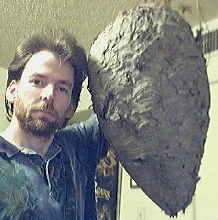 #4 GIANT WASP NEST