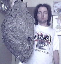 ENORMOUS BALD-FACED "HORNET" NEST