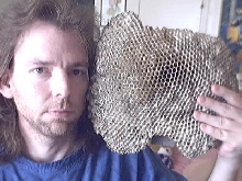 ENORMOUS RED WASP NEST