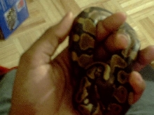 2nd time being handled