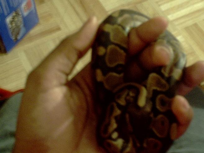 2nd time being handled