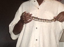 church is a pain and snakes are the relief