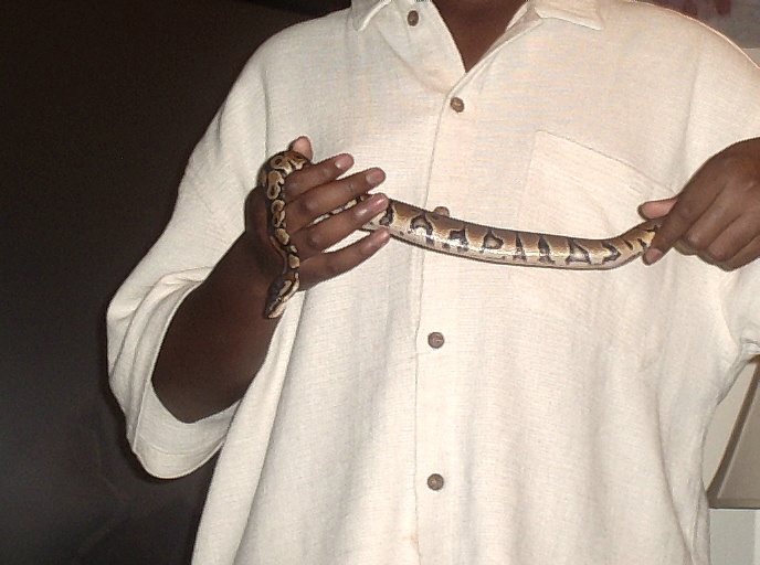 church is a pain and snakes are the relief