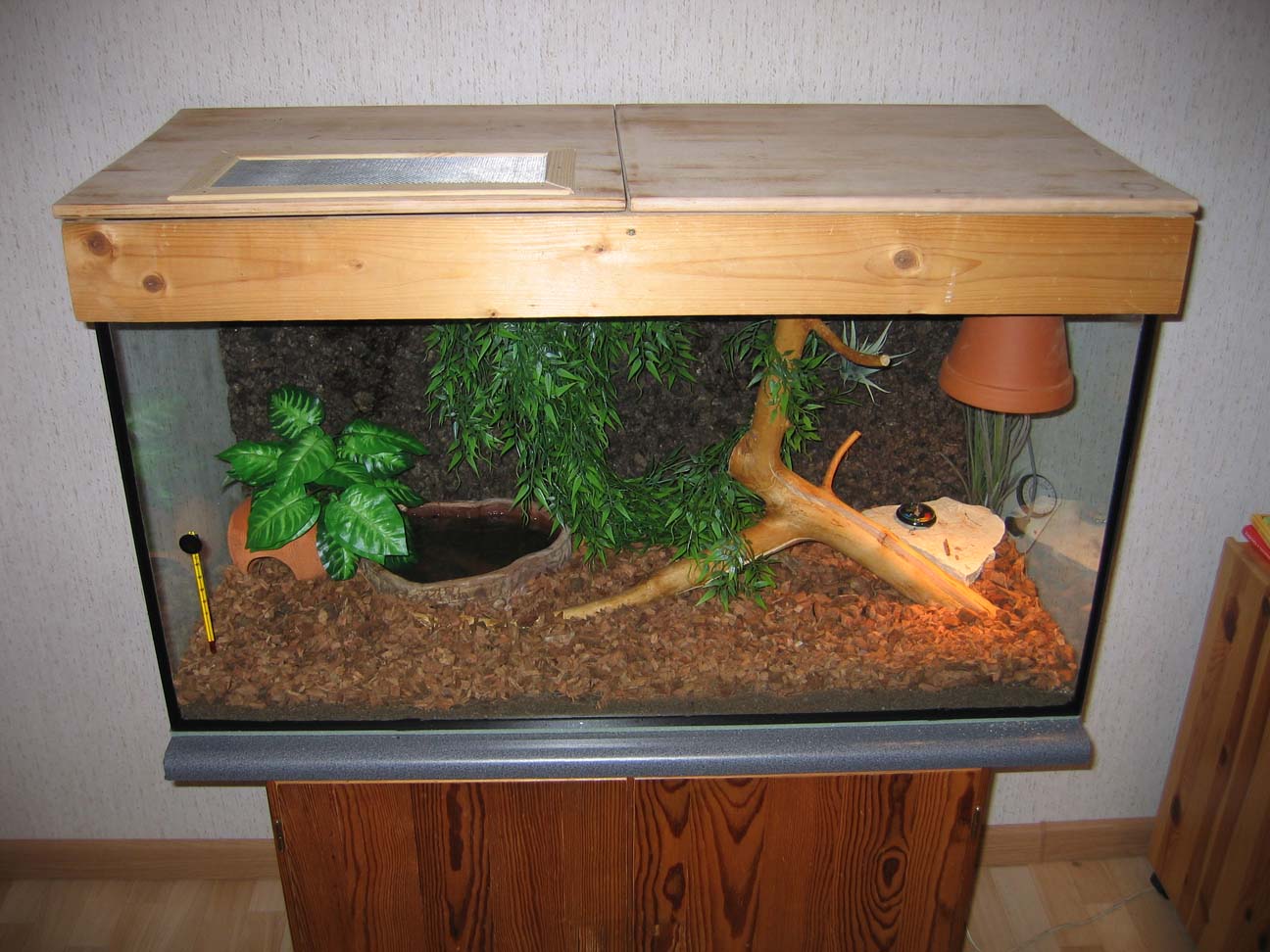 Terrarium for BP