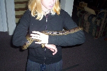 female anaconda