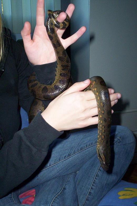 female green
