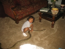Alex and Shera