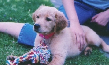 Our Annie