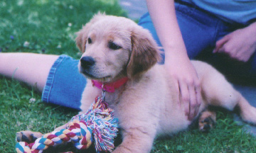 Our Annie