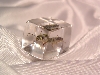 Bug Cube