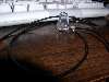 Mantis Necklace