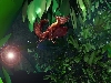 Mantis in 3D