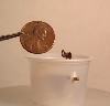 Look how little!