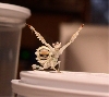 P.Whalbergi scaring the cam away.