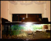 chelsea's home