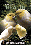 Canary Hobby