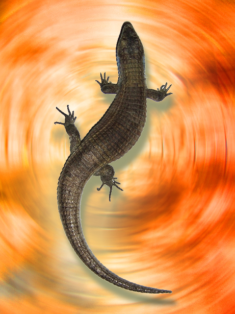 Shombay Lizard Art