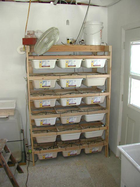 Mouse Rack for sale
