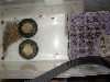 Cricket Tub- Top View