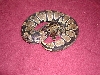 Hissy