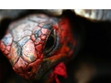 Cool head shot!