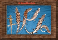 Family portrait