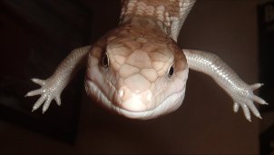 Sebastian