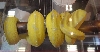 Yellow chondro